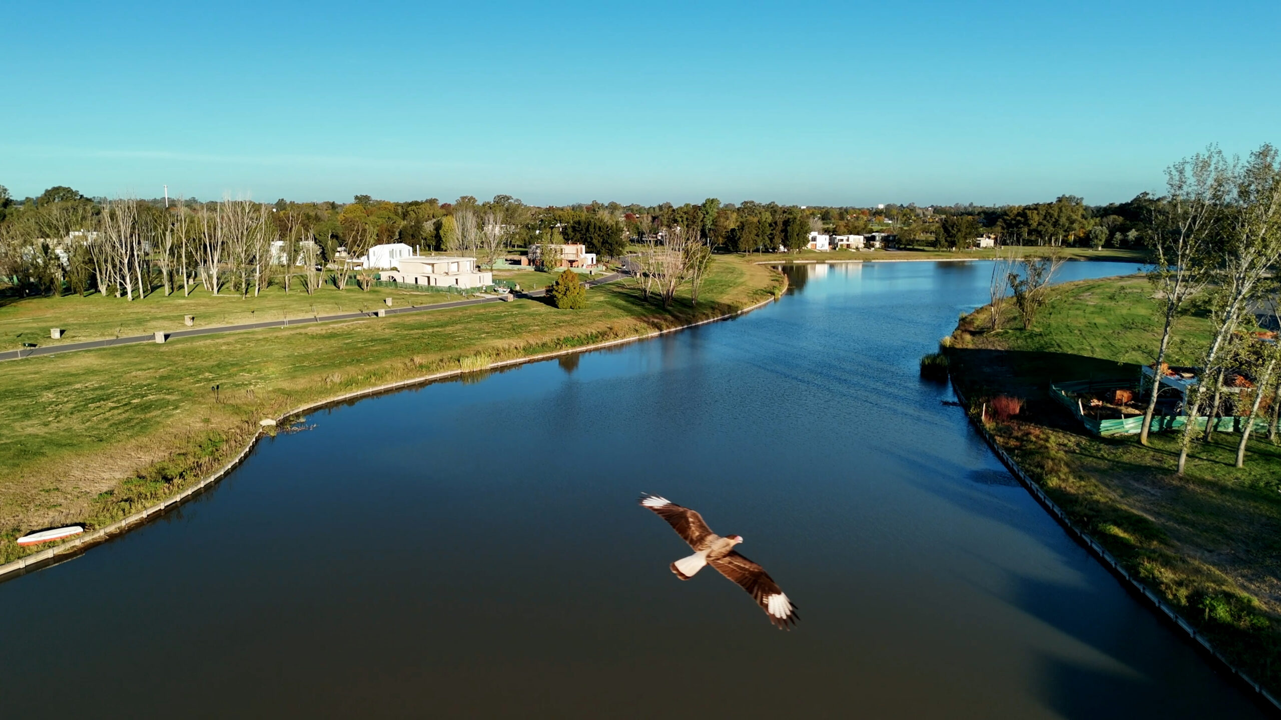 Azzurra_Laguna_Pajaro10