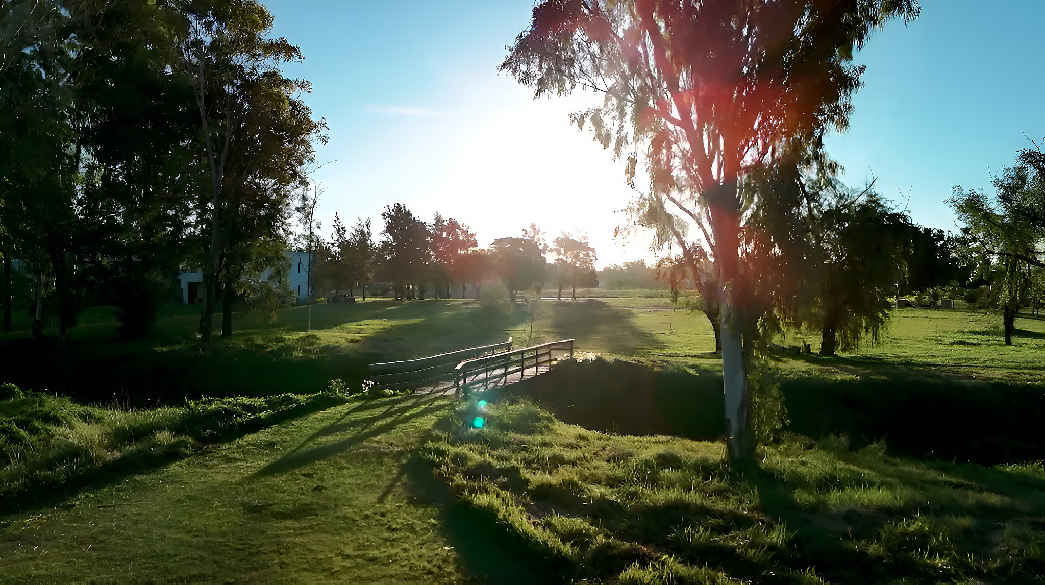 Captura de pantalla 2025-09-26 a la(s) 16.24.11 2